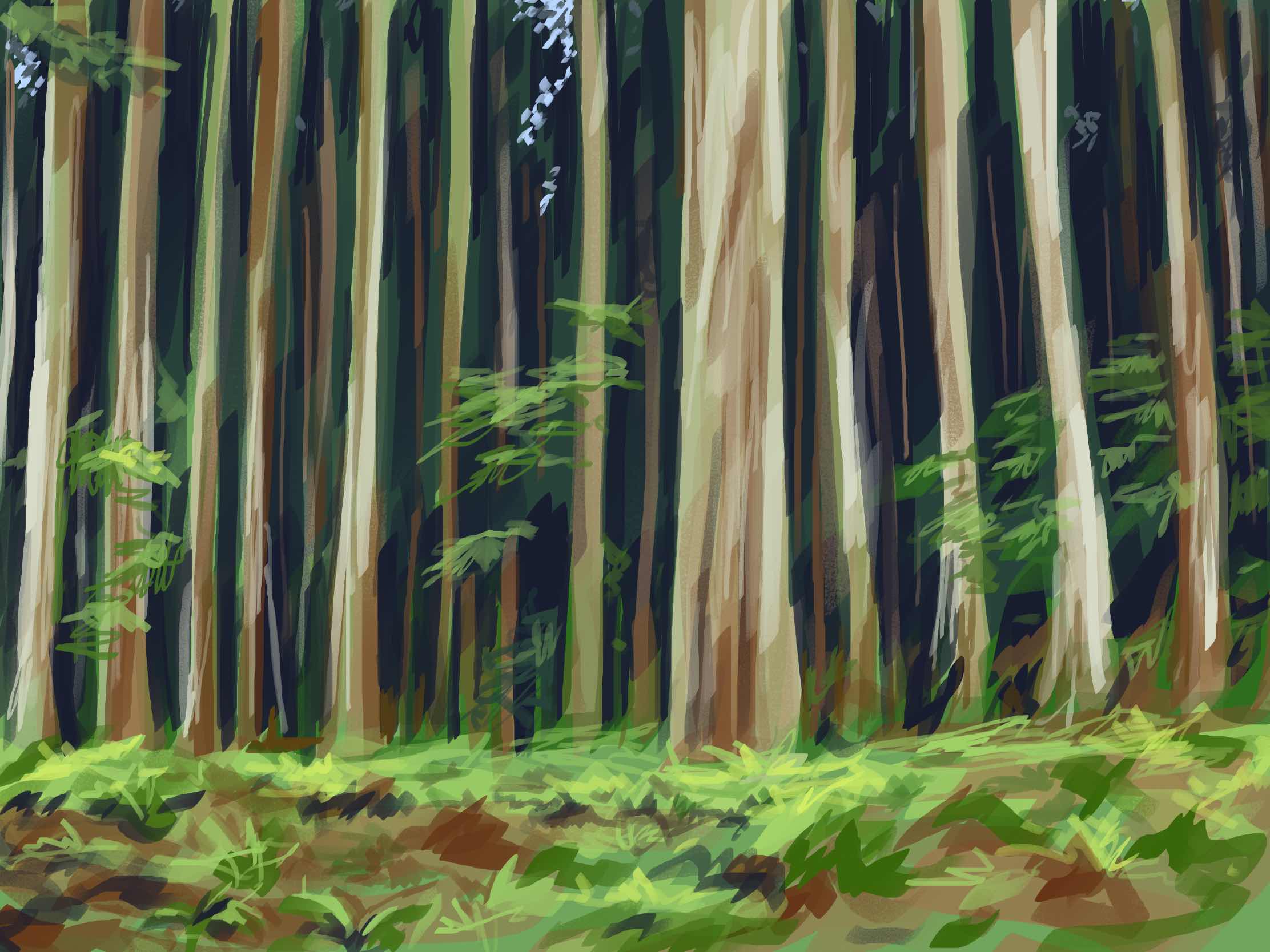 Japan forest