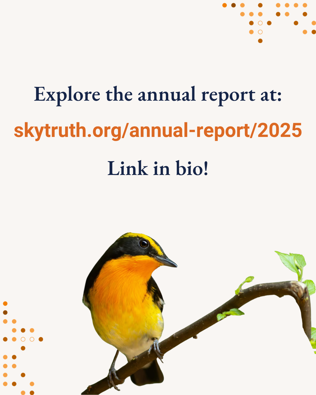 Explore the annual report at skytruth.org/annual-report/2025
