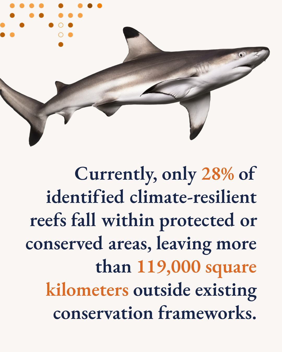 Only 28% of identified climate-resilient reefs fall within protected or conserved areas