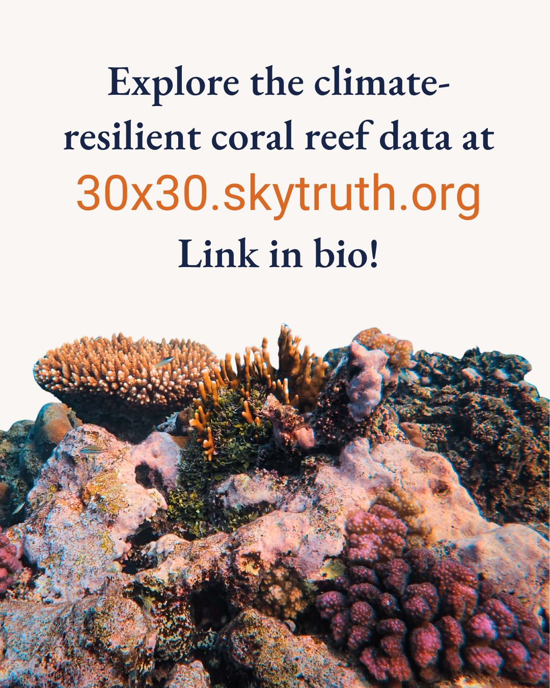 Explore the climate-resilient coral reef data at 30x30.skytruth.org
